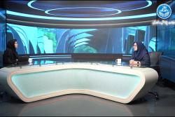 تلاش مرکز تحقیقات هوشمند کوثر دانشگاه تهران برای خودکفایی در تولید مرغ اجداد ایرانی