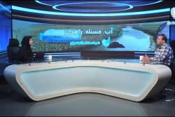 دکتر جوادی عضو هیات علمی دانشگاه تهران: سی درصد آب در لوله‌های انشعاب شبکه هدر می‌رود!