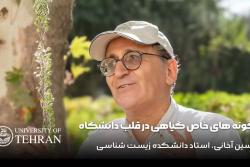 باز طراحی فضای سبز دانشگاه تهران در بحران کم آبی