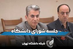 توضیحات رئیس دانشکدگان هنرهای زیبا درباره اتفاقات هفته دیزاین دانشگاه تهران