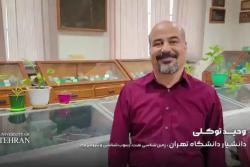 ابتکار دکتر وحید توکلی عضو هیات‌علمی دانشگاه تهران چگونه زمینه‌ساز کشف میدان‌های جدید نفتی شد؟