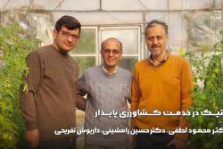 تحقیق و توسعه در تولید بذرهای هیبرید رقابتی در ایران