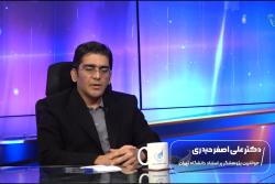 پژوهشگر پر استناد دانشگاه تهران