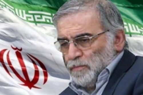 «چه کربلا نرفته‌ها، که کربلایی شدن...» بی قراری شهید فخری زاده برای سفر کربلا